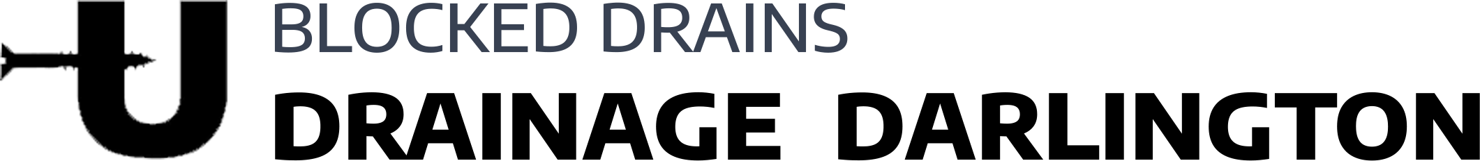 website logo
